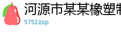 河源市某某橡塑制品运营部